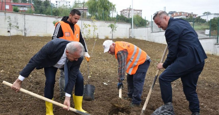 Atakum Okullarına Meyve Ağacı