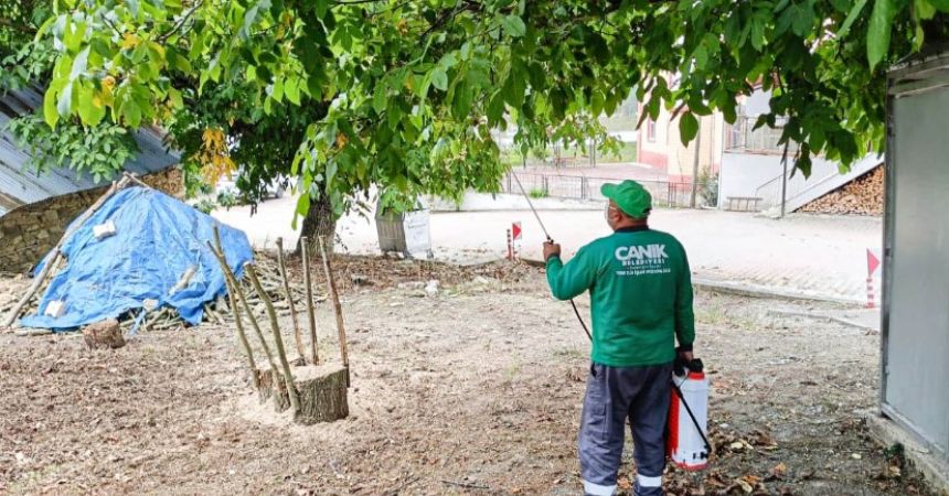 Canik'te Kokarca İlaçlaması