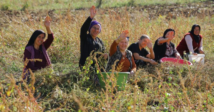 Tarıma Büyük Destek
