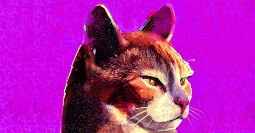 Altın Kedi için yarışacak filmler açıklandı Altın Kedi için yarışacak filmler açıklandı
