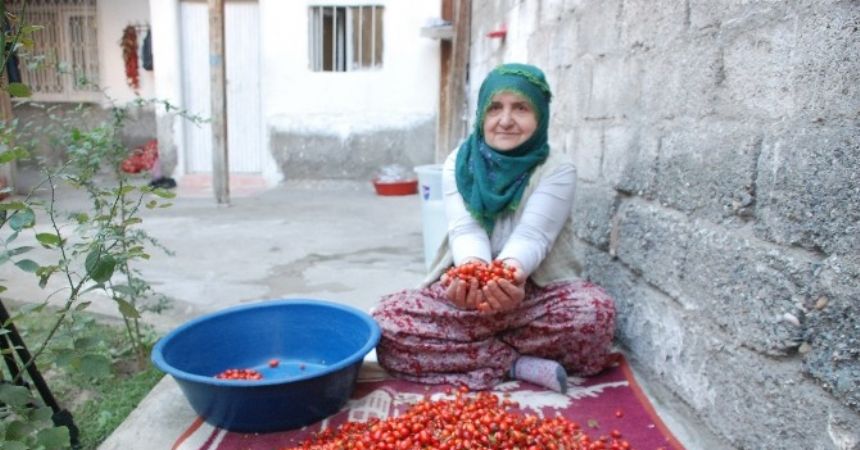 Kuşburnunun lezzet yolculuğu Kuşburnunun lezzet yolculuğu