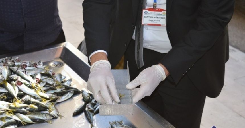 Balık satışına denetleme Balık satışına denetleme