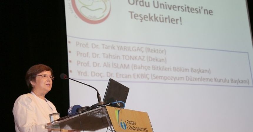 Sebze üretiminde geride kaldık Sebze üretiminde geride kaldık