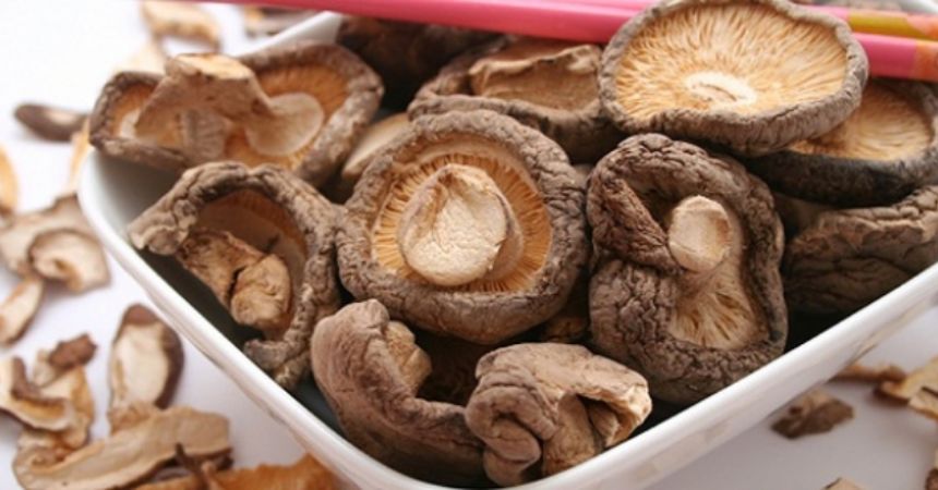 Mantara dikkat !.. Samsun kritik iller arasında Mantara dikkat !.. Samsun kritik iller arasında