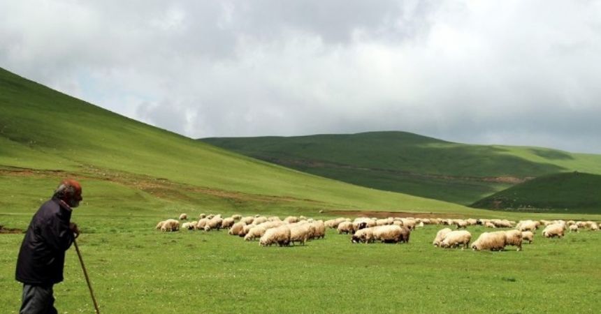 Aybastı’da turizm gelişiyor Aybastı’da turizm gelişiyor