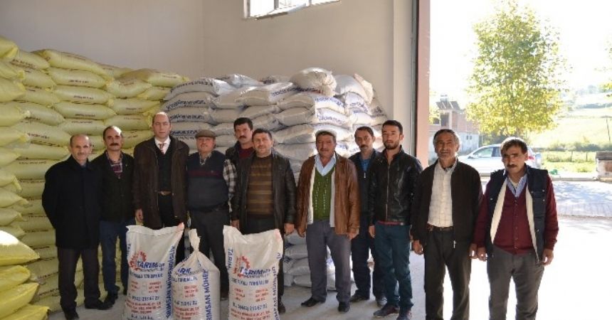 Alaçam’da korunga tohumu dağıtıldı Alaçam’da korunga tohumu dağıtıldı