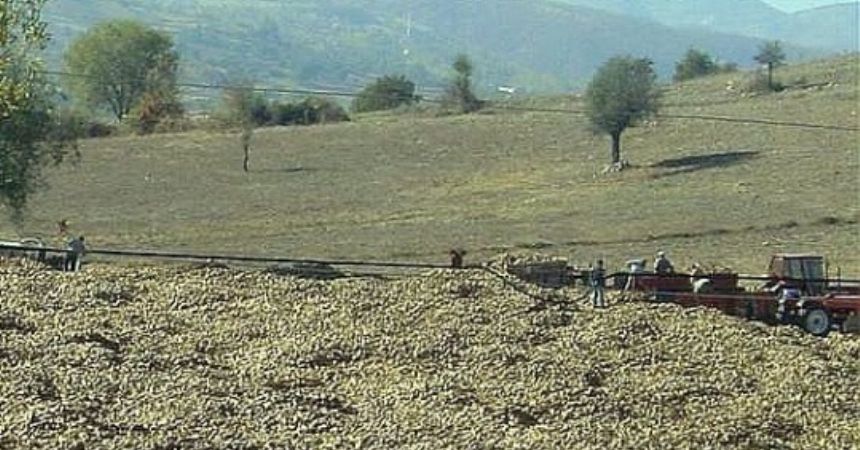 Vezirköprü ekonomisine pancar dopingi Vezirköprü ekonomisine pancar dopingi