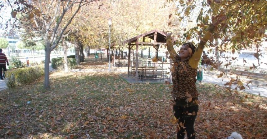 Tokat’ta sonbahar yaprakları süpürülmeyecek Tokat’ta sonbahar yaprakları süpürülmeyecek