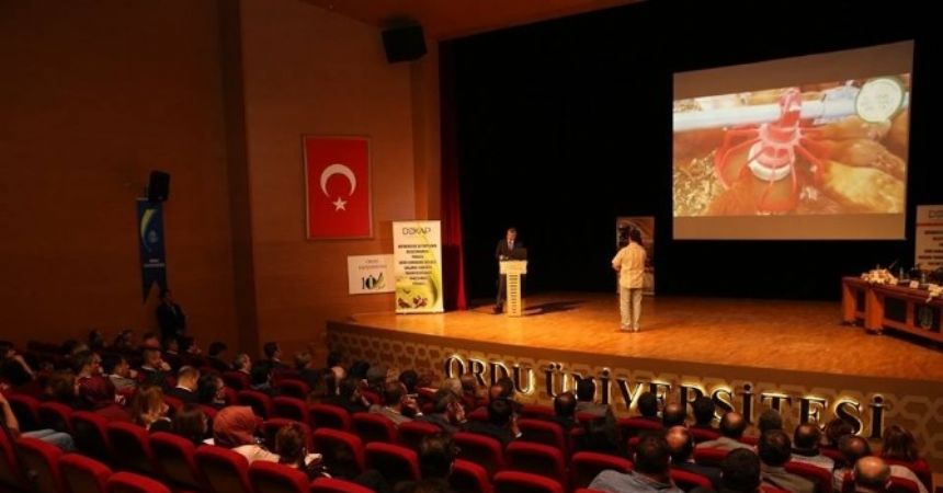 Karadeniz’de organik yumurta atağı Karadeniz’de organik yumurta atağı
