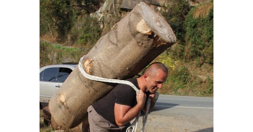 203 kilogramlık kütüğü sırtında taşıdı 203 kilogramlık kütüğü sırtında taşıdı