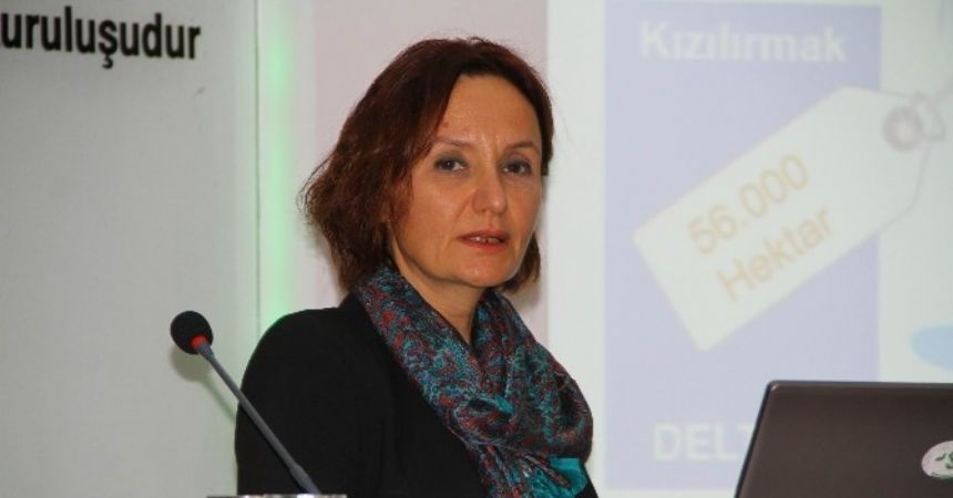 'Yıkım sonrası doğa kendini yeniledi'