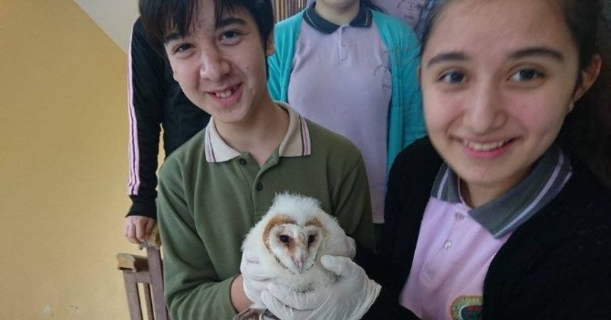 Yavru baykuşa öğrenciler sahip çıktı Yavru baykuşa öğrenciler sahip çıktı