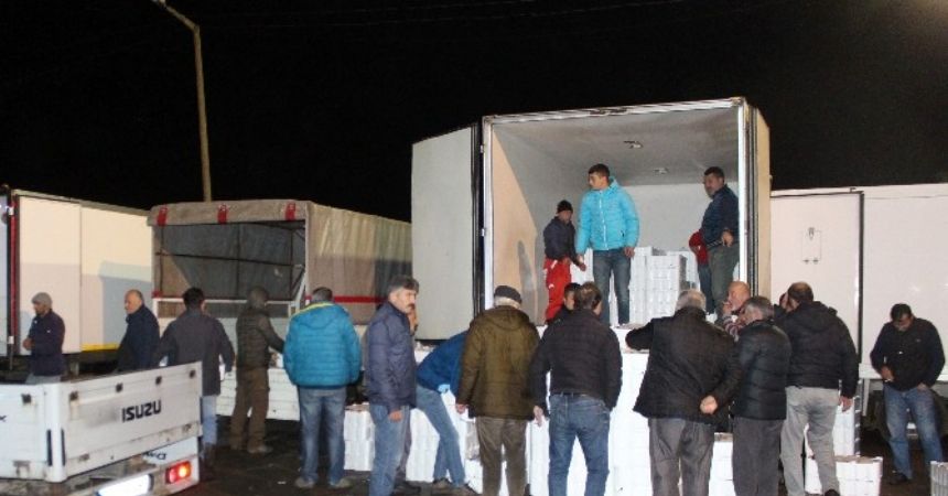Balık halinde kıyasıya rekabet Balık halinde kıyasıya rekabet
