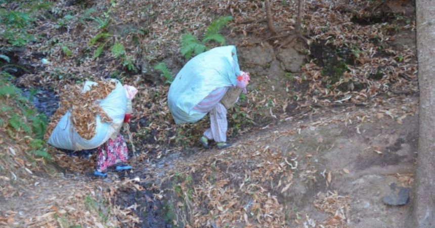 Karadeniz kadını zor yükün altına giriyor Karadeniz kadını zor yükün altına giriyor