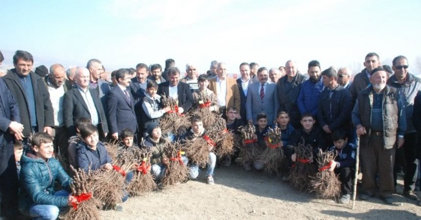 800 dekarlık modern bağ 800 dekarlık modern bağ