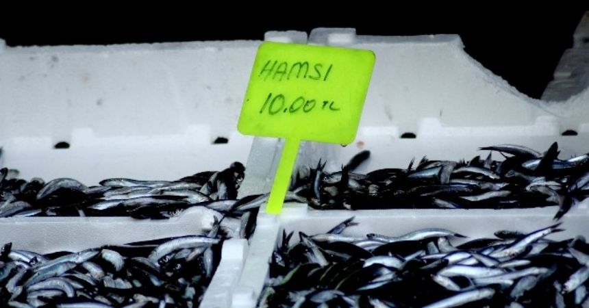 Palamut ile sevindirdi, hamsi üzdü Palamut ile sevindirdi, hamsi üzdü