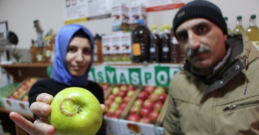 Ay-yıldızlı elma görenleri şaşırttı Ay-yıldızlı elma görenleri şaşırttı