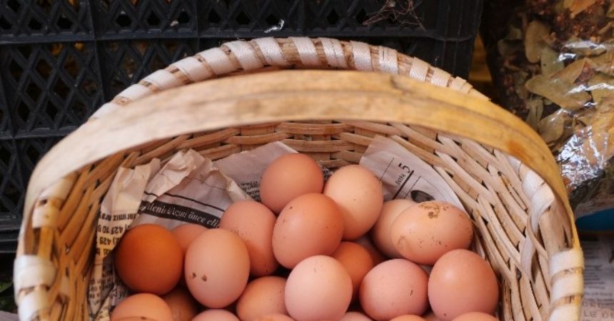 Kuş gribi patladı, yumurta tavan yaptı! Kuş gribi patladı, yumurta tavan yaptı!