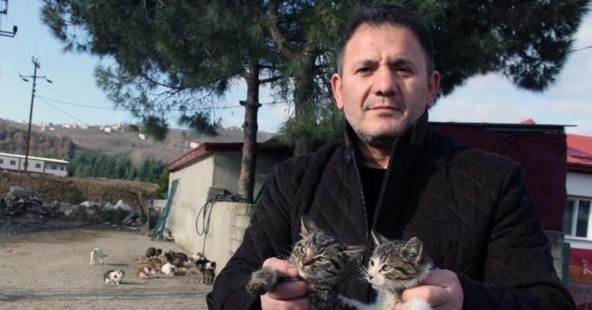 Barınak değil sevgi yuvası Barınak değil sevgi yuvası
