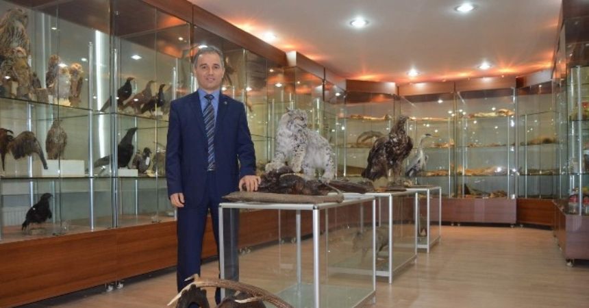 KTÜ Yaban Hayatı Müzesi’nde yok yok KTÜ Yaban Hayatı Müzesi’nde yok yok