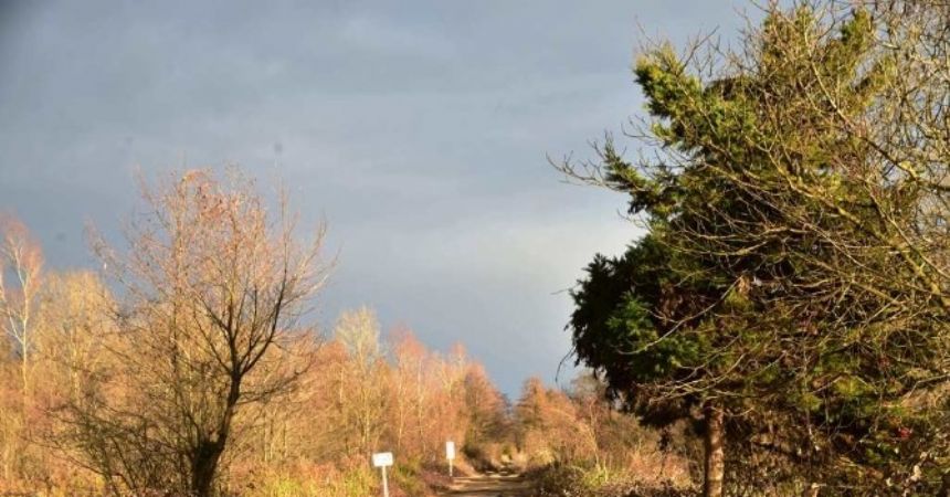 Amazon Parkı dünyaya açılacak Amazon Parkı dünyaya açılacak