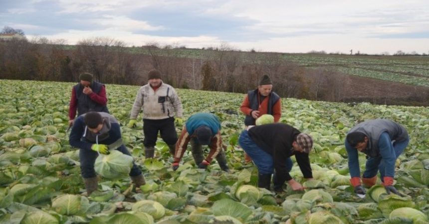 Üretici raf fiyatlarından şikayetçi Üretici raf fiyatlarından şikayetçi