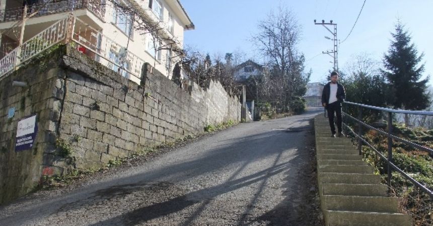 Rize, Dunedin'e rakip oldu Rize, Dunedin'e rakip oldu