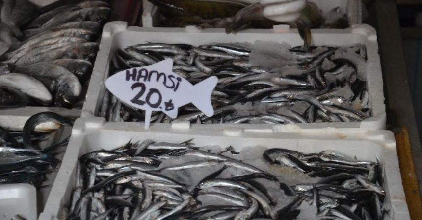 Ordu’da hamsi 20 lira Ordu’da hamsi 20 lira