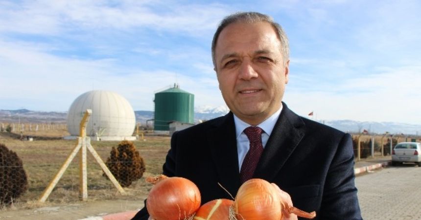 Çürüyen ‘kırmızı altın’ elektriğe dönüşecek Çürüyen ‘kırmızı altın’ elektriğe dönüşecek