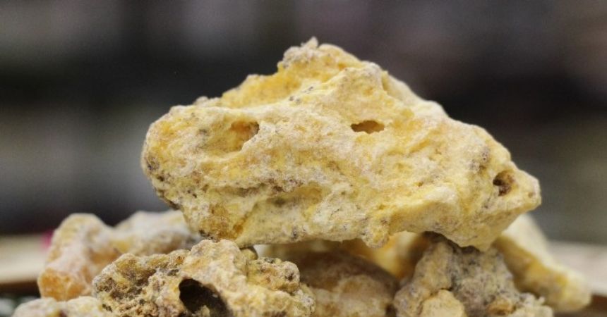 Çam sakızı sadece deyimlerde kullanılmıyor Çam sakızı sadece deyimlerde kullanılmıyor