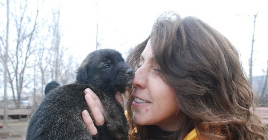 100 köpeğe bakan hayvansevere destek