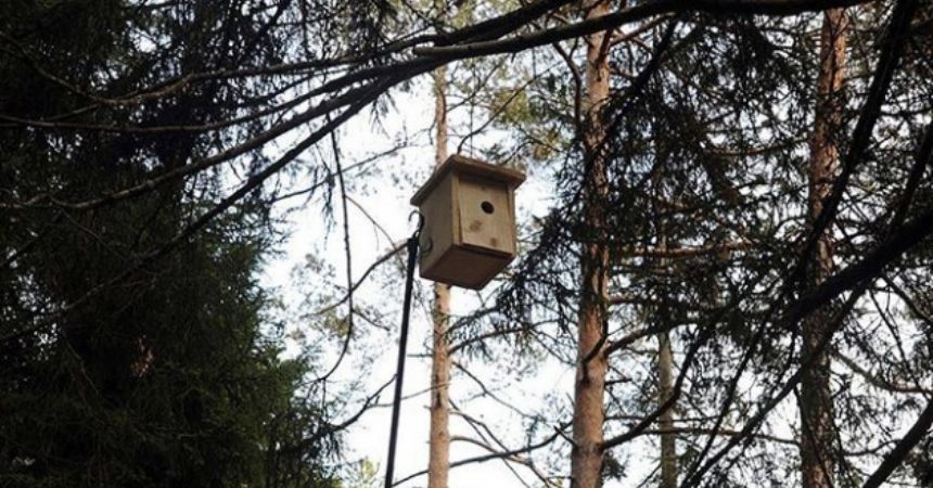 Ormanlara bin 225 kuş yuvası