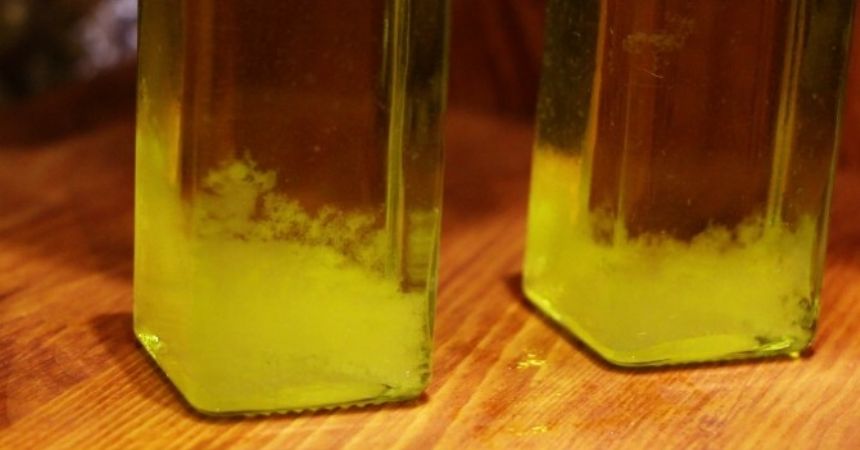 Zeytin yağının donanı makbul! Zeytin yağının donanı makbul!