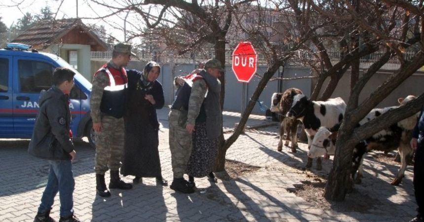 Hayvanlar bulundu köylüler sevindi Hayvanlar bulundu köylüler sevindi