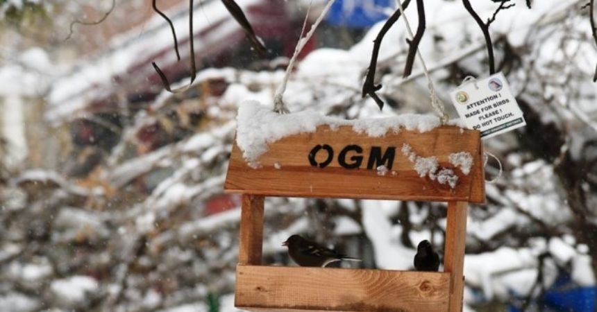 Artvin’de kuşlar için suni yuva Artvin’de kuşlar için suni yuva