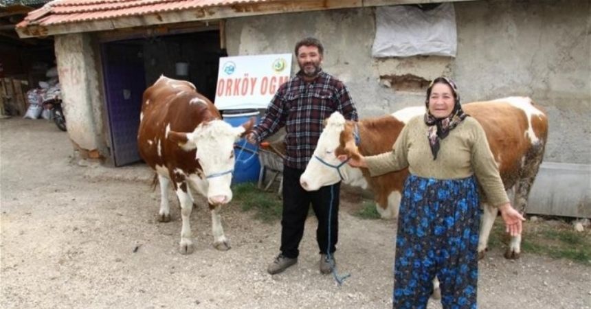 Orman köylülerine 14 yılda 33 milyon TL’lik destek Orman köylülerine 14 yılda 33 milyon TL’lik destek