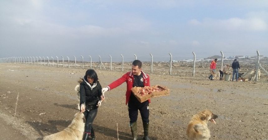 Kadınlar hayvanlar için seferber Kadınlar hayvanlar için seferber