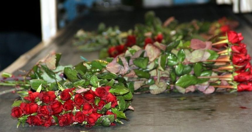 Sevgililer Günü’nün favori çiçeği ’gül’