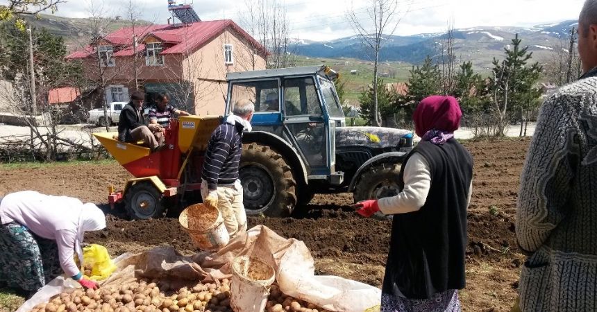 Ordu’da işgücü tarıma eğilimli Ordu’da işgücü tarıma eğilimli
