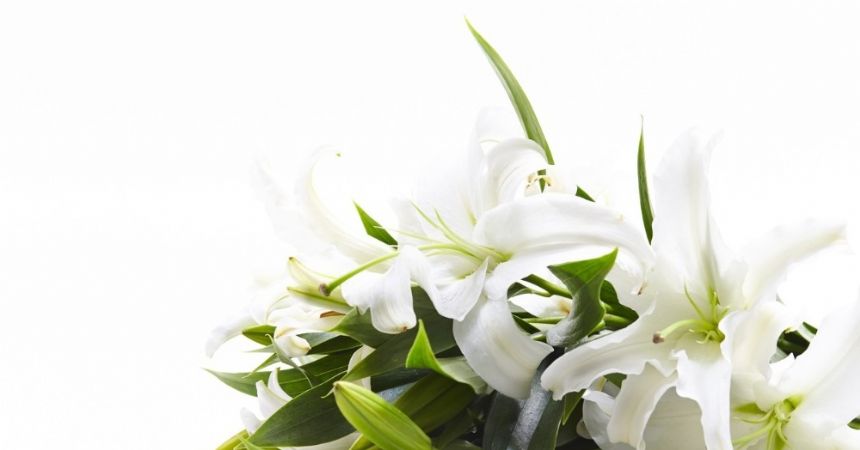 Kadınlar gününün favorisi lilyum