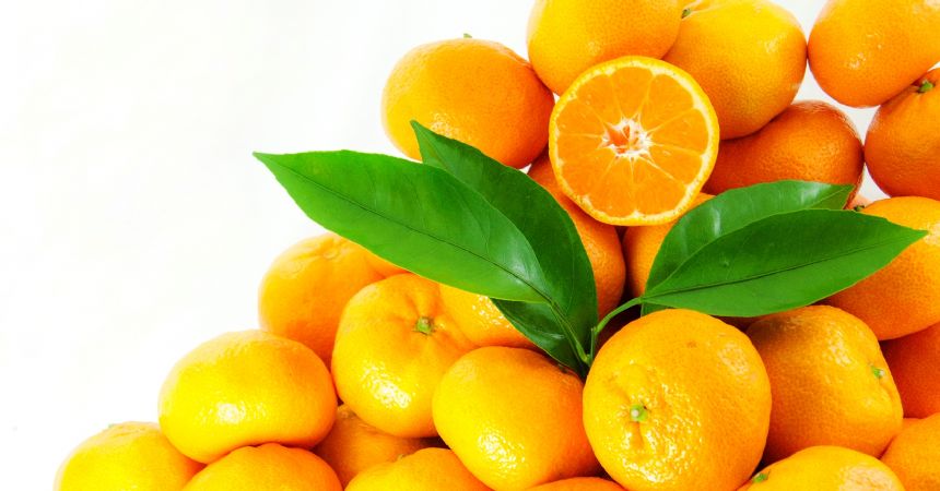 Şubat’ta zam şampiyonu mandalina Şubat’ta zam şampiyonu mandalina