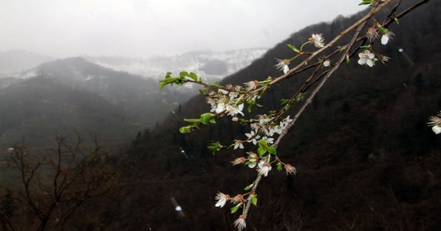Kış ve bahar birarada