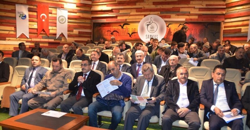 Manda sütünün markalaşma yolculuğu Manda sütünün markalaşma yolculuğu
