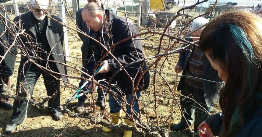 Kış budaması eğitimi tamamlandı Kış budaması eğitimi tamamlandı