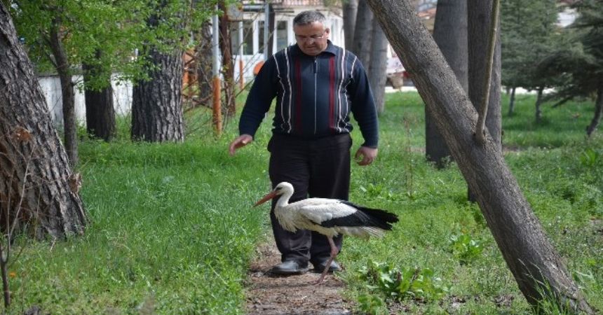 Yaralı leyleğe işçiler sahip çıktı