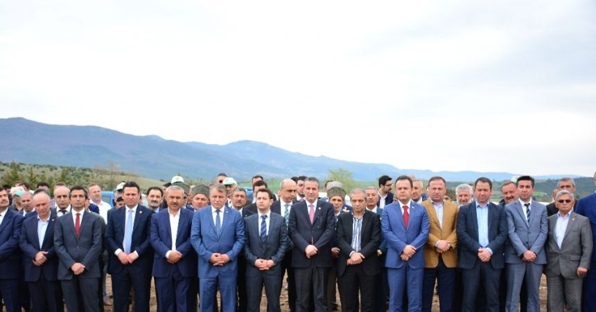 15 Temmuz Şehitleri anısına hatıra ormanı 15 Temmuz Şehitleri anısına hatıra ormanı