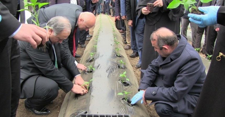 Artvin’de sera atağı Artvin’de sera atağı