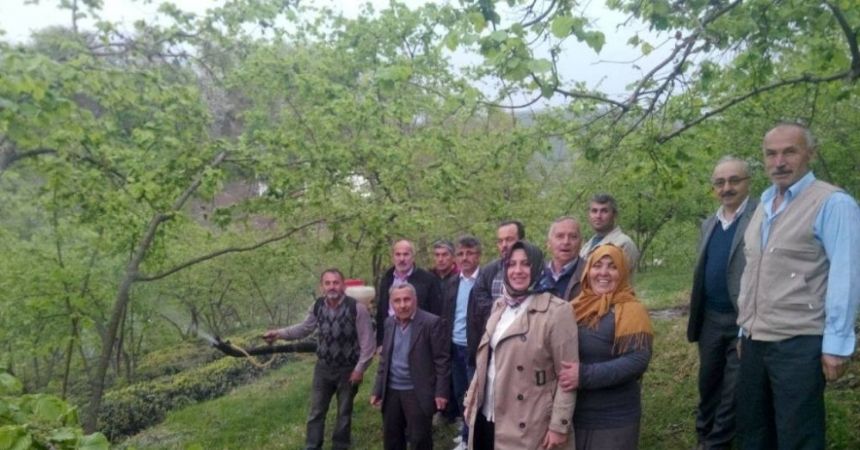 Kadın çiftçilere 'külleme' dersi Kadın çiftçilere 'külleme' dersi