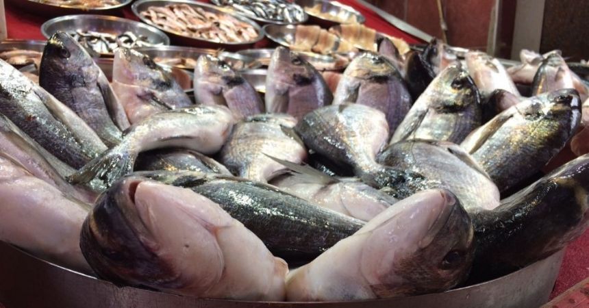 Fiyatlar kültür balıklarını da etkiledi