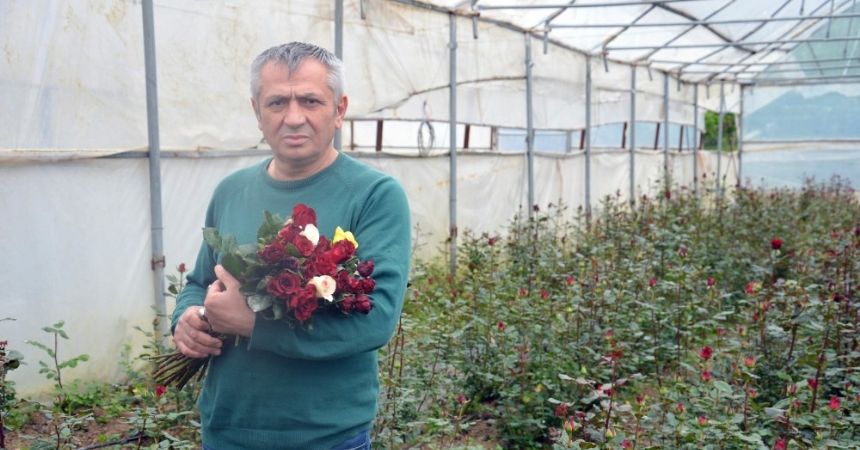 Kesme çiçekler ‘anneler’ için kesiliyor